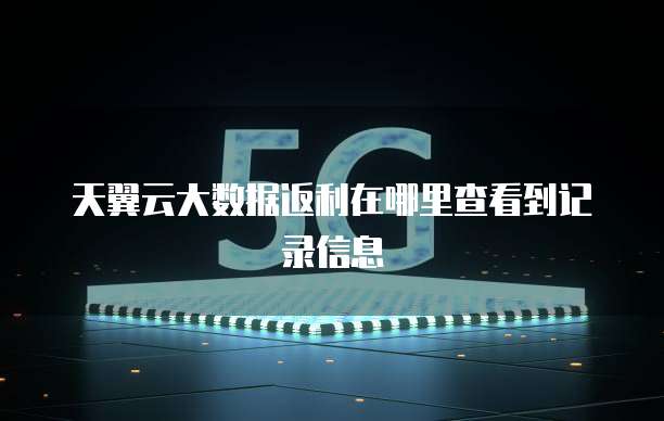 天翼云大数据返利在哪里查看到记录信息