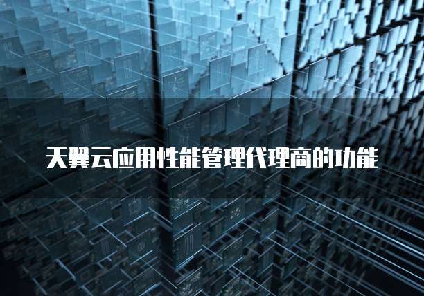 天翼云应用性能管理代理商的功能