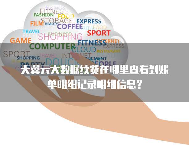 天翼云大数据续费在哪里查看到账单明细记录明细信息?