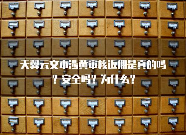 天翼云文本涉黄审核返佣是真的吗?安全吗?为什么?