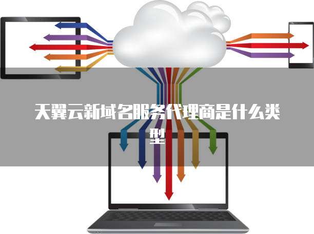 天翼云新域名服务代理商是什么类型