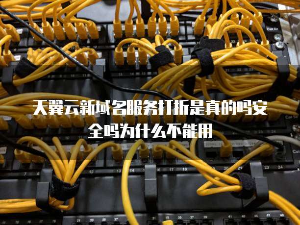天翼云新域名服务打折是真的吗安全吗为什么不能用