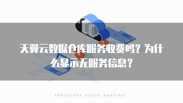 天翼云数据仓库服务收费吗？为什么显示无服务信息？
