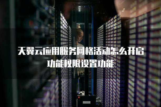 天翼云应用服务网格活动怎么开启功能权限设置功能