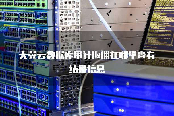 天翼云数据库审计返佣在哪里查看结果信息