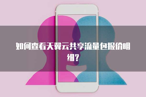 如何查看天翼云共享流量包报价明细?