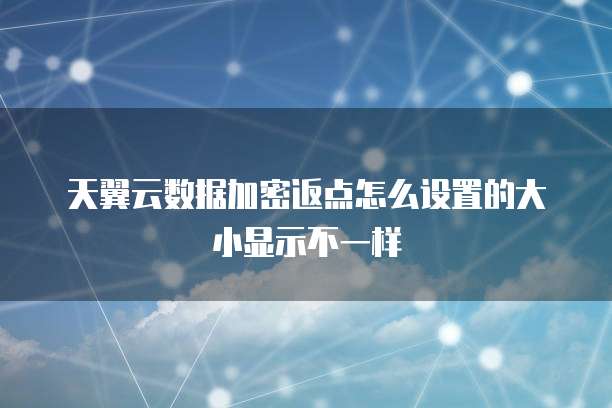 天翼云数据加密返点怎么设置的大小显示不一样