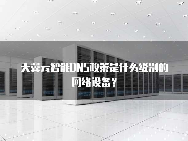 天翼云智能DNS政策是什么级别的网络设备?