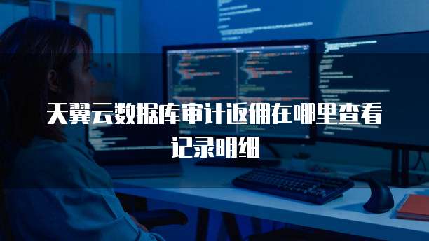 天翼云数据库审计返佣在哪里查看记录明细
