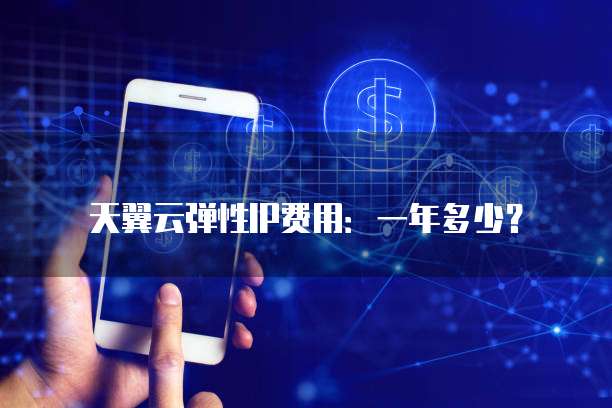 天翼云弹性IP费用：一年多少？