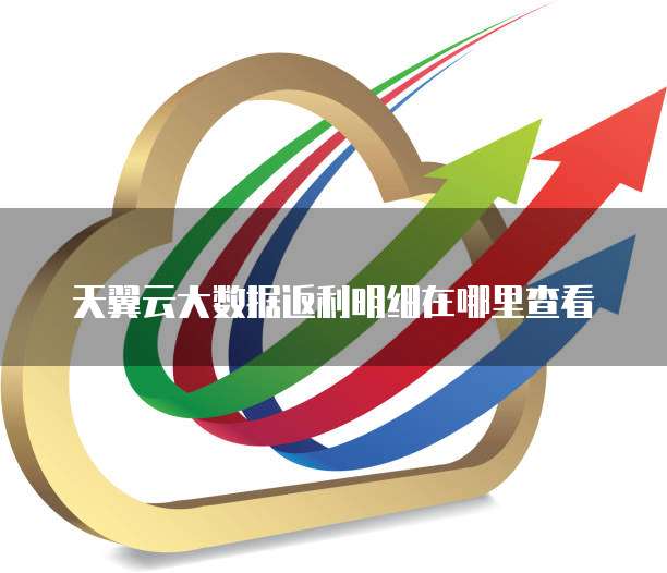 天翼云大数据返利明细在哪里查看