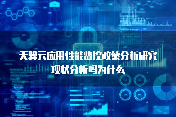 天翼云应用性能监控政策分析研究现状分析吗为什么