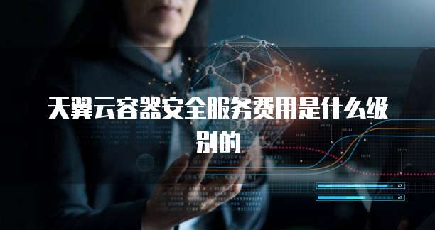 天翼云容器安全服务费用是什么级别的
