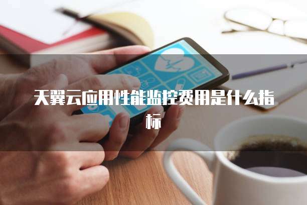 天翼云应用性能监控费用是什么指标