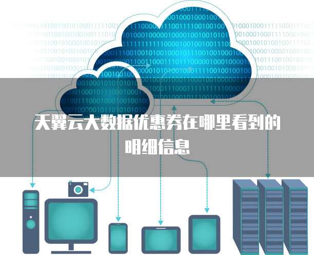 天翼云大数据优惠券在哪里看到的明细信息