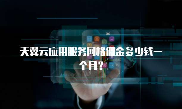 天翼云应用服务网格佣金多少钱一个月?