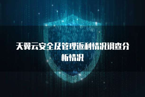 天翼云安全及管理返利情况调查分析情况