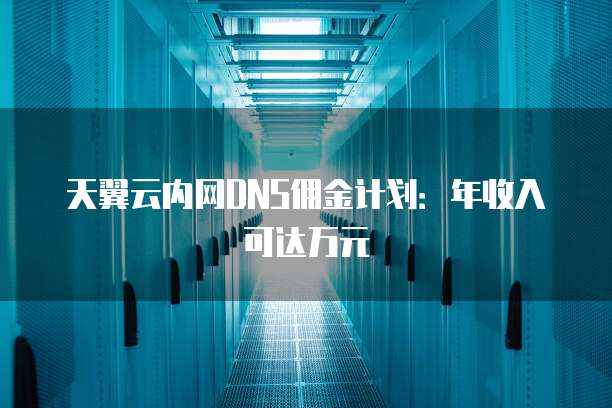 天翼云内网DNS佣金计划:年收入可达万元
