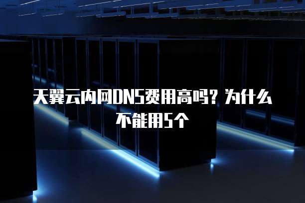 天翼云内网DNS费用高吗?为什么不能用5个