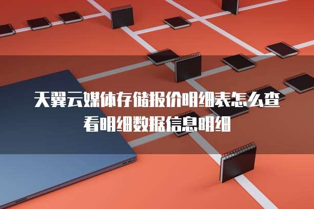天翼云媒体存储报价明细表怎么查看明细数据信息明细