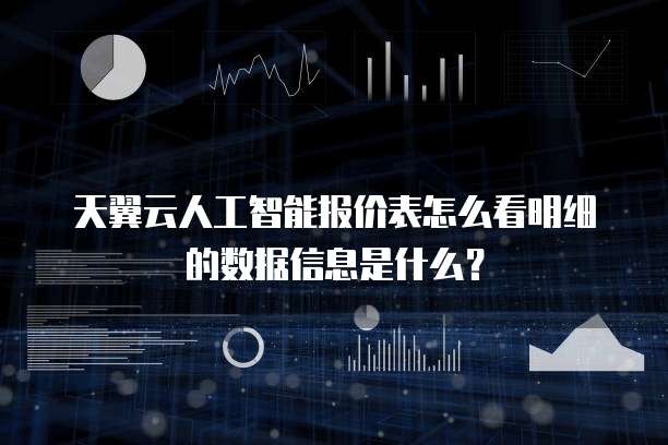 天翼云人工智能报价表怎么看明细的数据信息是什么？