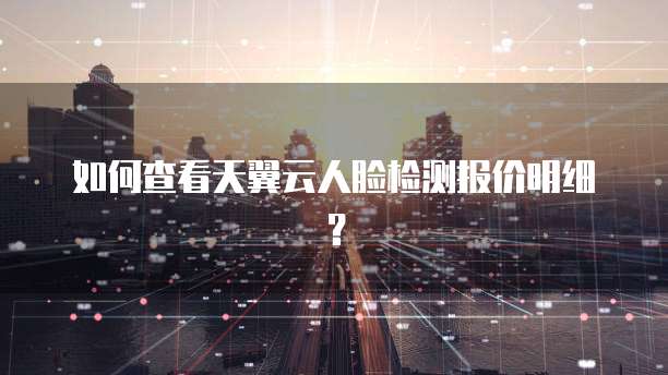 如何查看天翼云人脸检测报价明细?