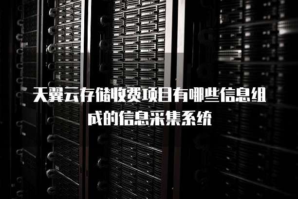 天翼云存储收费项目有哪些信息组成的信息采集系统