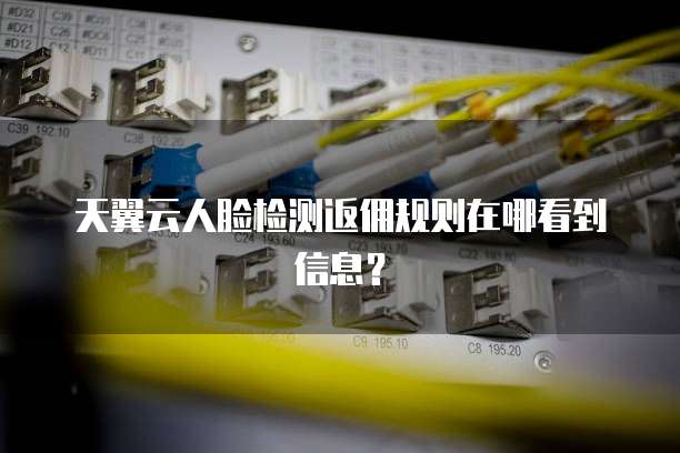 天翼云人脸检测返佣规则在哪看到信息？