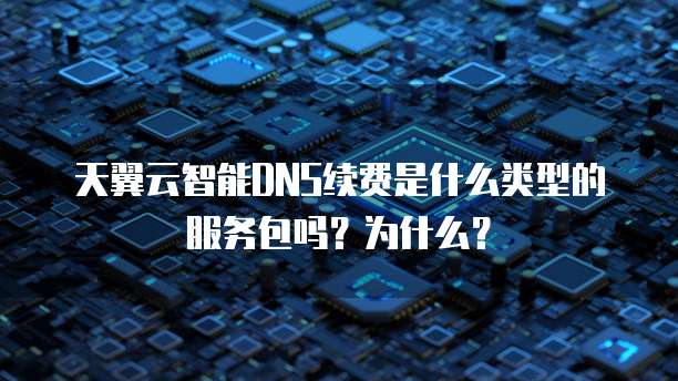 天翼云智能DNS续费是什么类型的服务包吗？为什么？