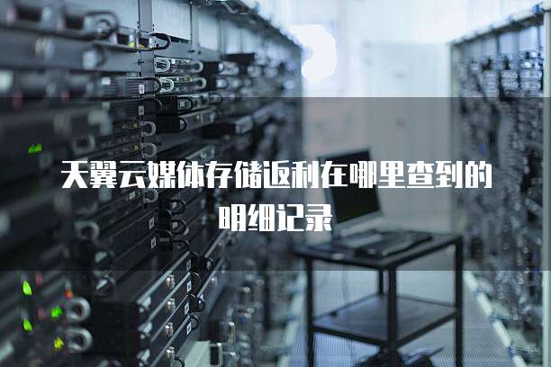天翼云媒体存储返利在哪里查到的明细记录