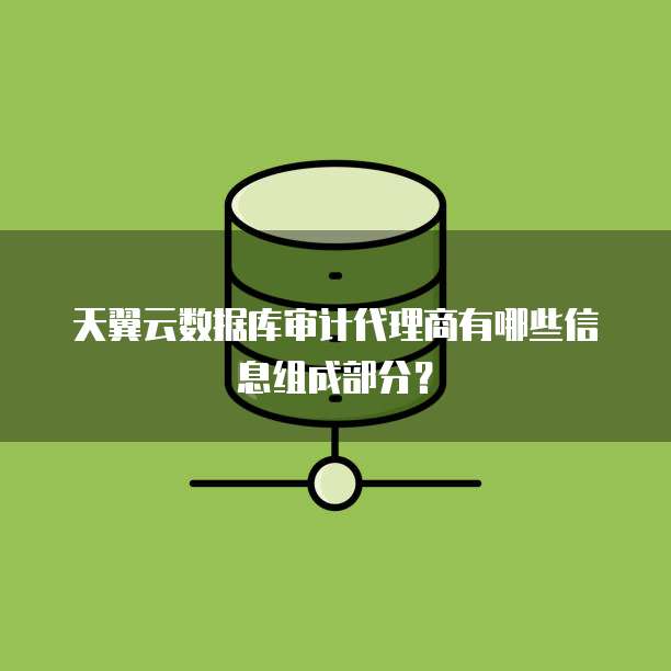 天翼云数据库审计代理商有哪些信息组成部分?