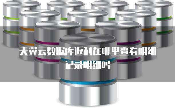 天翼云数据库返利在哪里查看明细记录明细吗
