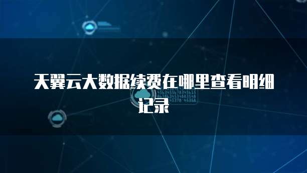 天翼云大数据续费在哪里查看明细记录