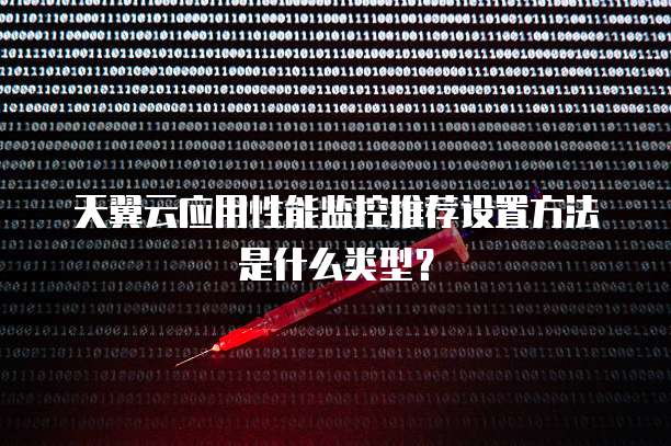 天翼云应用性能监控推荐设置方法是什么类型?