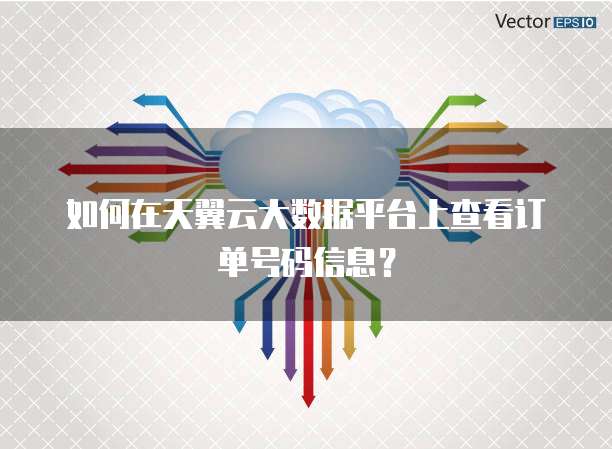如何在天翼云大数据平台上查看订单号码信息?