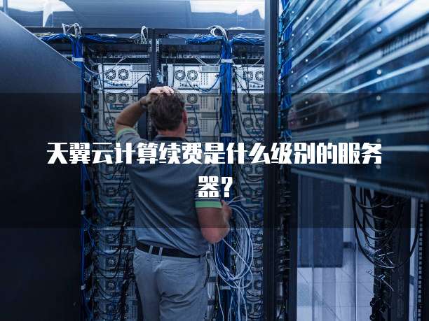 天翼云计算续费是什么级别的服务器?