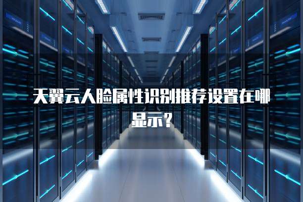 天翼云人脸属性识别推荐设置在哪显示?