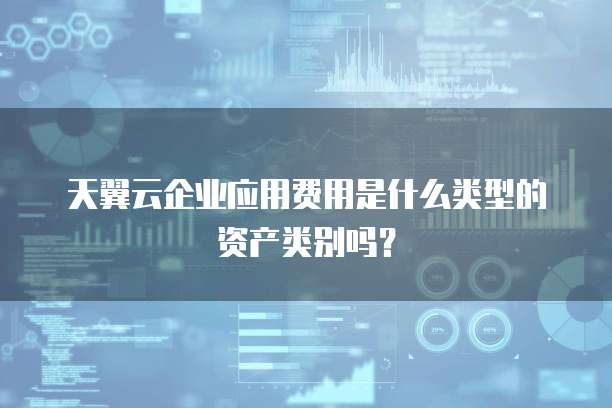 天翼云企业应用费用是什么类型的资产类别吗?