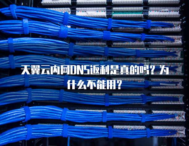 天翼云内网DNS返利是真的吗？为什么不能用？