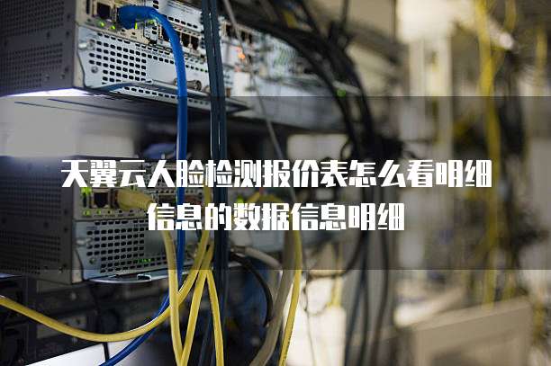 天翼云人脸检测报价表怎么看明细信息的数据信息明细