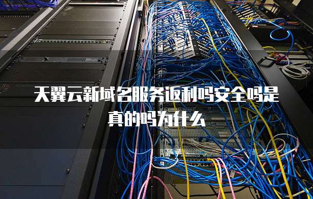 天翼云新域名服务返利吗安全吗是真的吗为什么