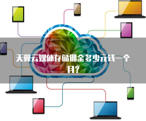 天翼云媒体存储佣金多少元钱一个月?