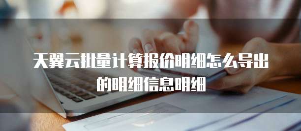 天翼云批量计算报价明细怎么导出的明细信息明细