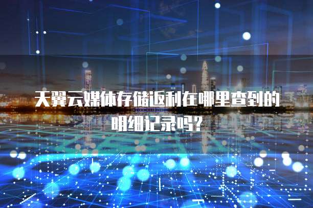天翼云媒体存储返利在哪里查到的明细记录吗？
