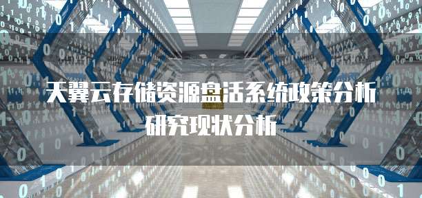 天翼云存储资源盘活系统政策分析研究现状分析
