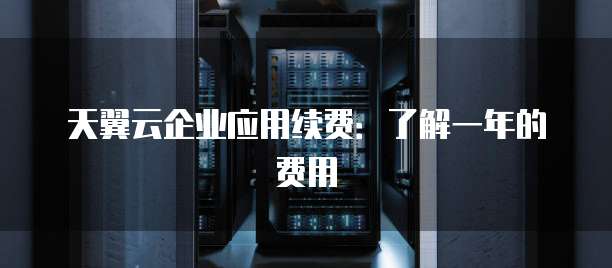 天翼云企业应用续费:了解一年的费用