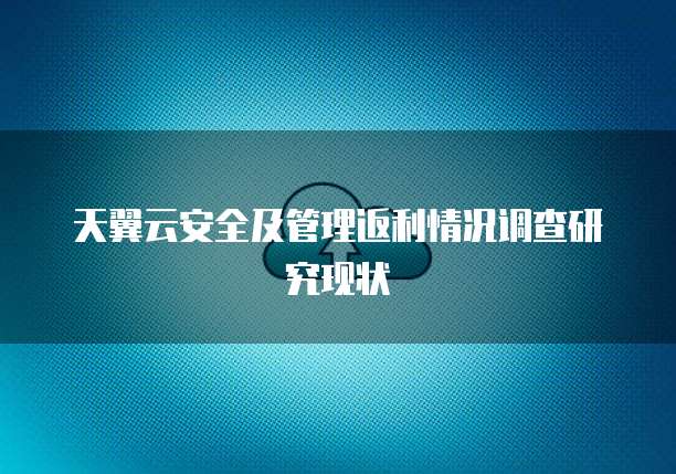 天翼云安全及管理返利情况调查研究现状