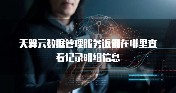 天翼云数据管理服务返佣在哪里查看记录明细信息