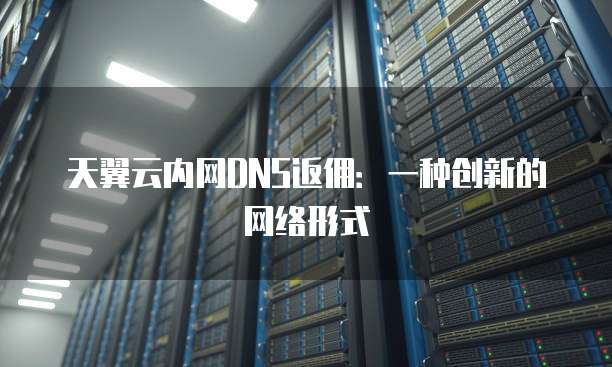 天翼云内网DNS返佣:一种创新的网络形式