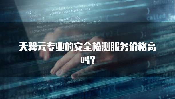 天翼云专业的安全检测服务价格高吗？